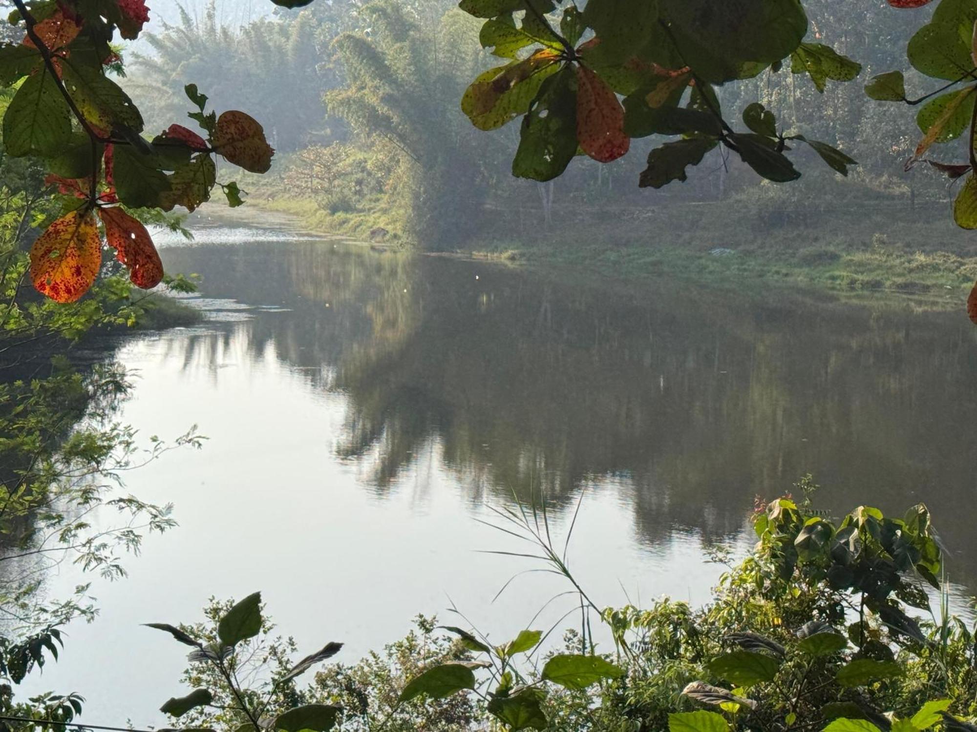 Ashramam Health Resort Kattappana Zewnętrze zdjęcie